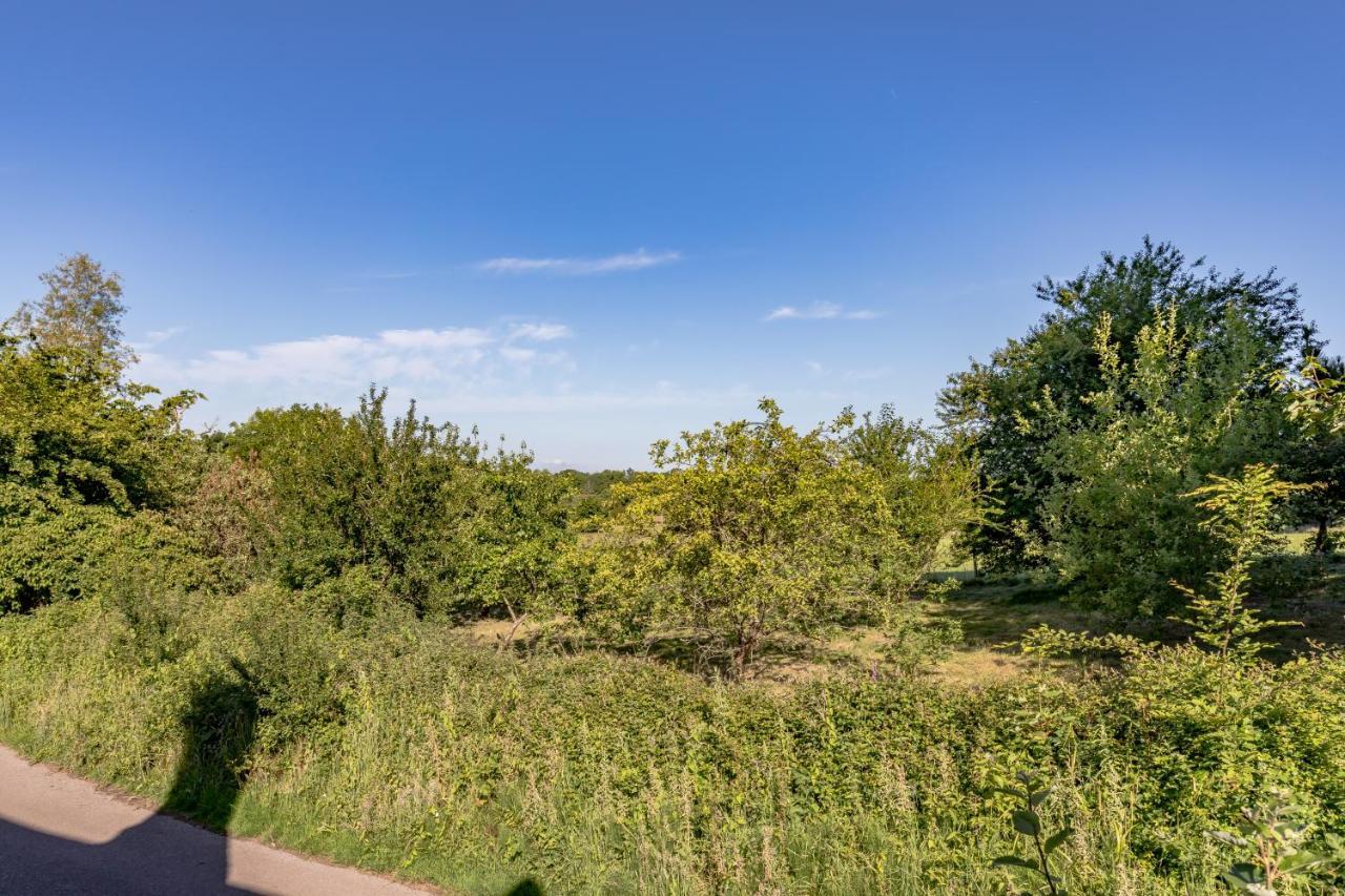 Danny Lodge - Country Cottage Near Brighton By Huluki Sussex Stays Hurstpierpoint 外观 照片