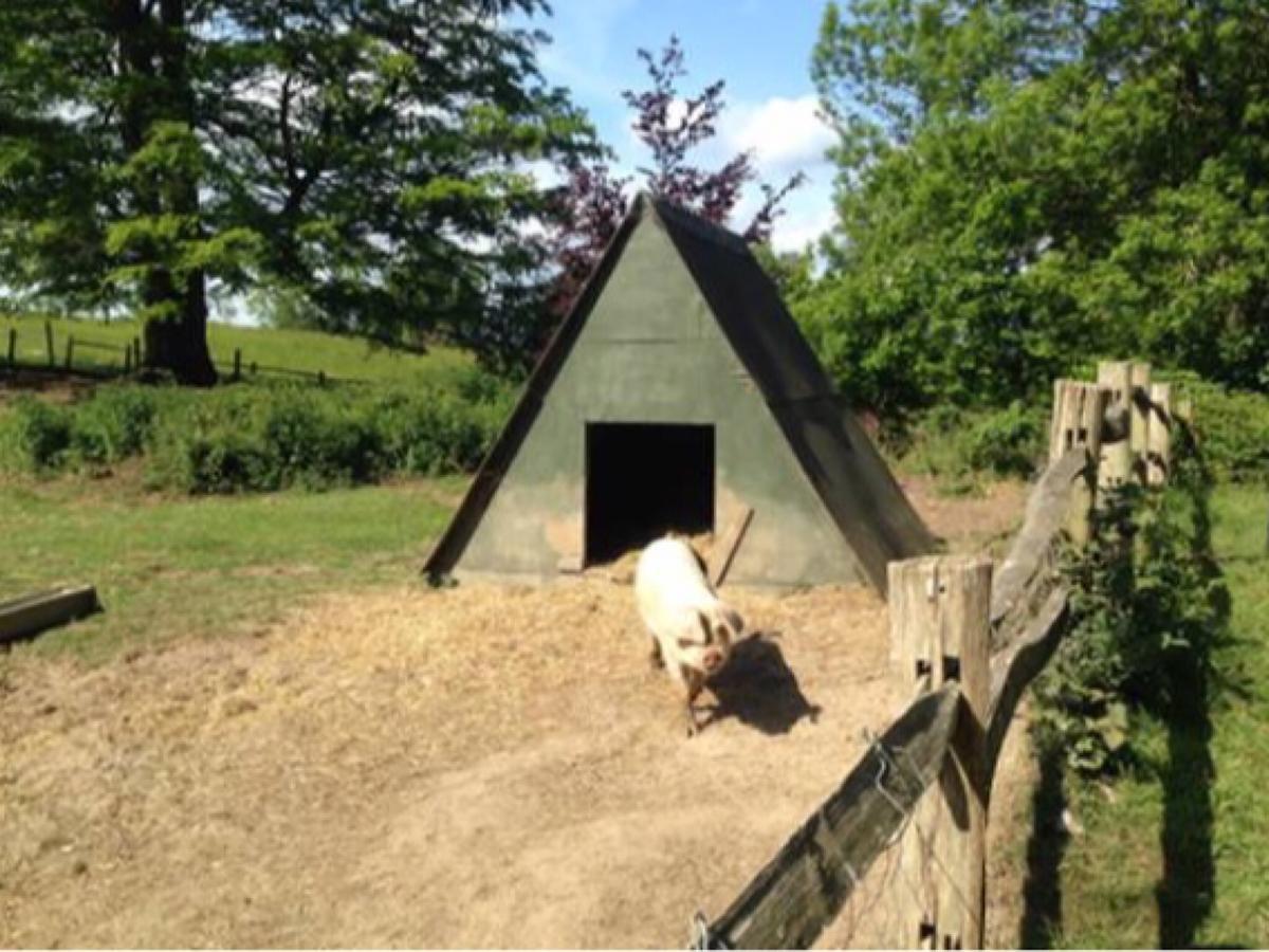 Danny Lodge - Country Cottage Near Brighton By Huluki Sussex Stays Hurstpierpoint 外观 照片